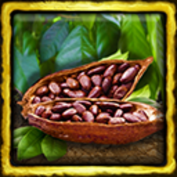 Detail Cocoa Beans Png Nomer 57