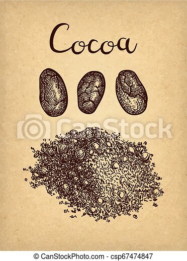 Detail Cocoa Powder Clipart Nomer 56