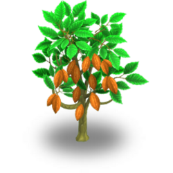 Detail Cocoa Tree Pictures Nomer 23
