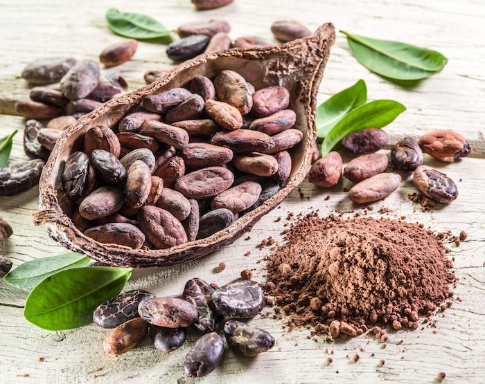 Detail Cocoa Tree Pictures Nomer 48