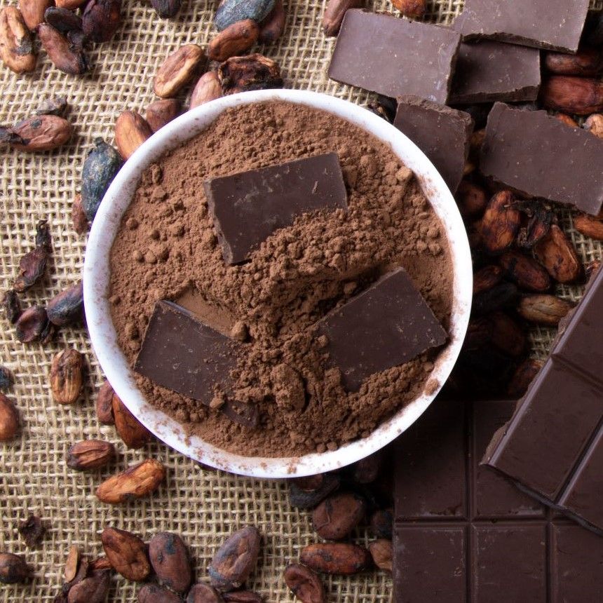 Detail Cocoa Tree Pictures Nomer 52