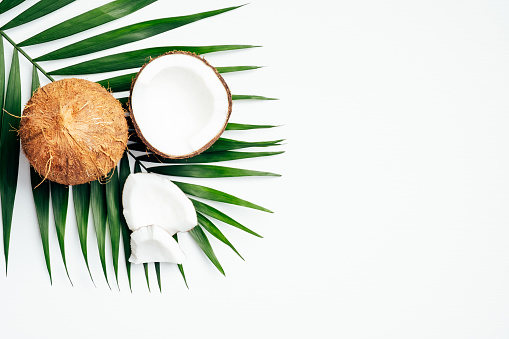 Detail Coconut Background Nomer 3