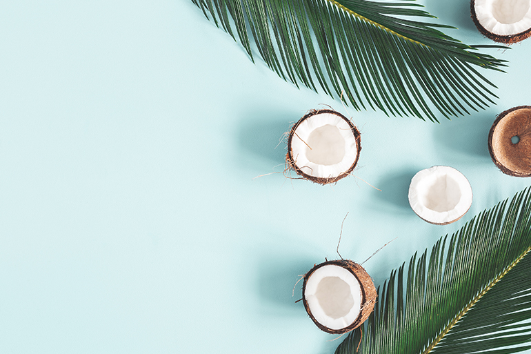 Detail Coconut Background Nomer 36