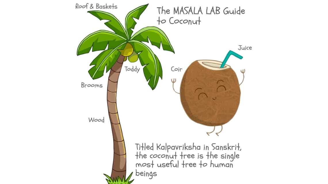 Detail Coconut Background Nomer 41