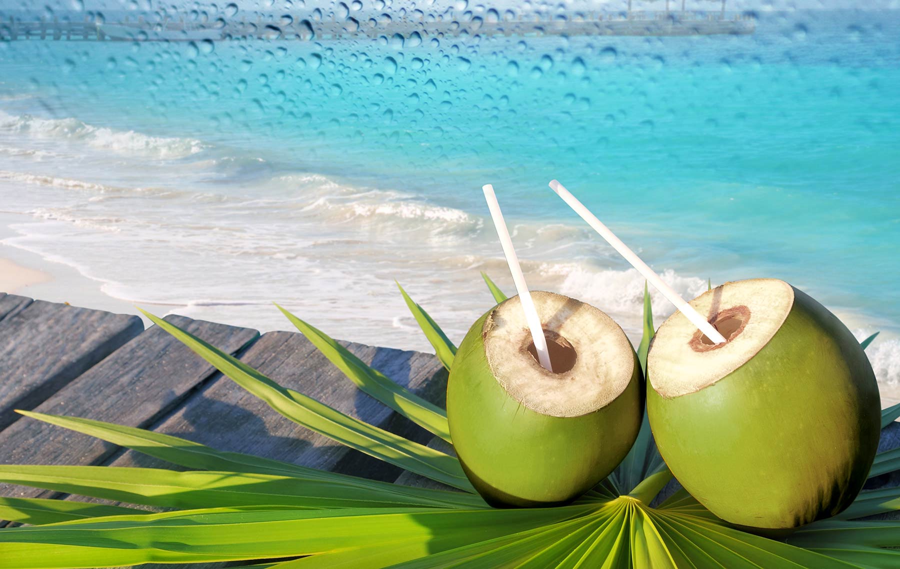 Detail Coconut Background Nomer 46