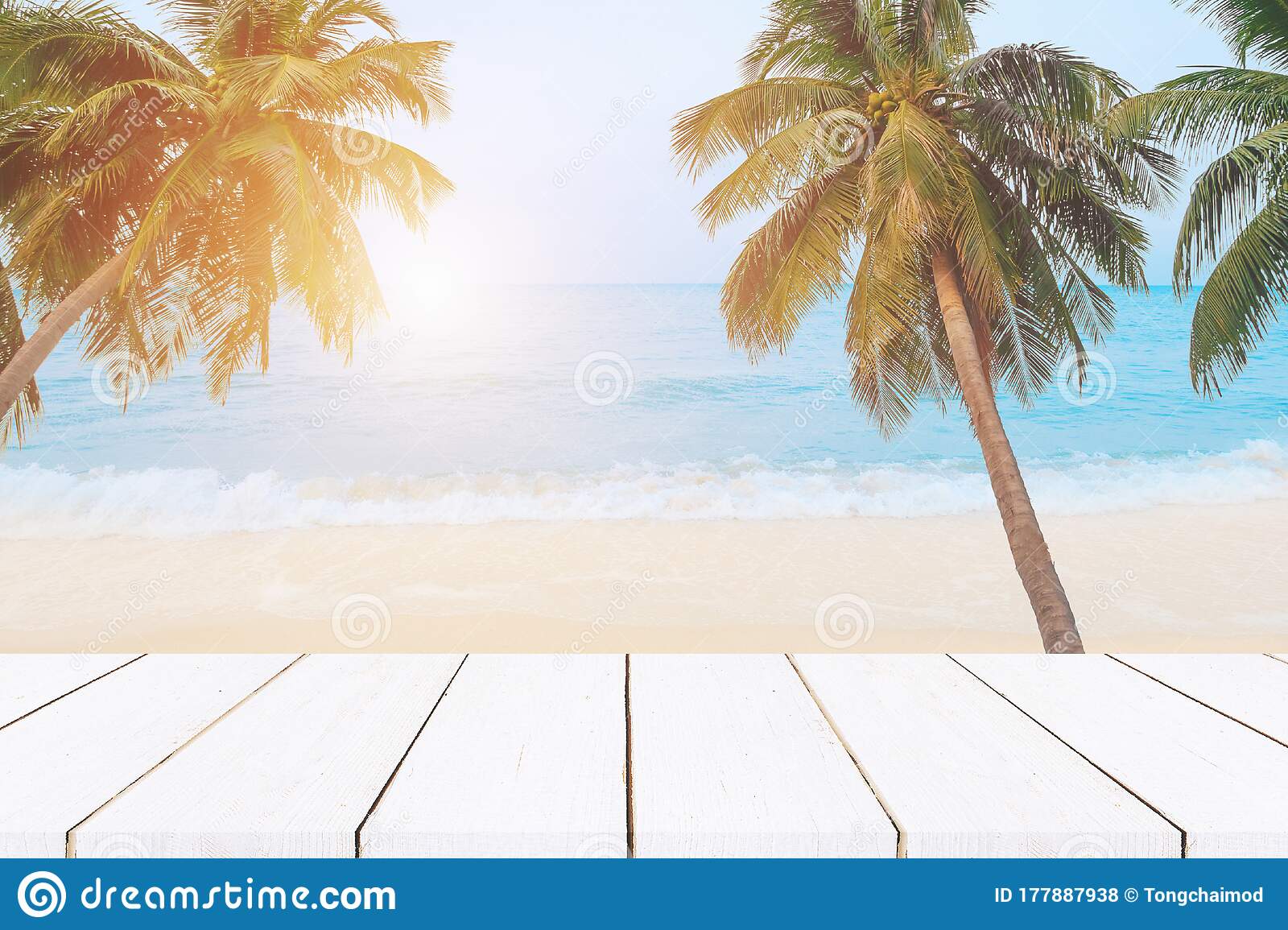 Detail Coconut Background Nomer 52