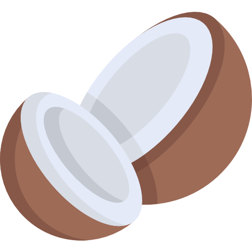 Detail Coconut Icon Png Nomer 2