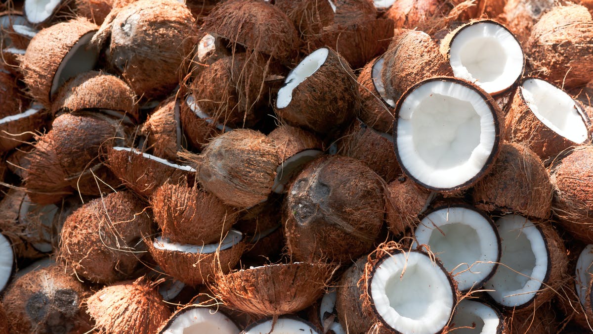 Detail Coconut Image Nomer 14