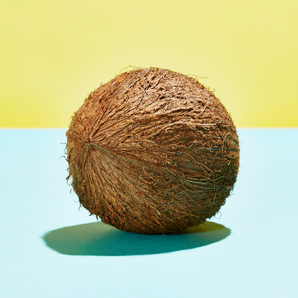Detail Coconut Image Nomer 24