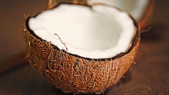 Detail Coconut Image Nomer 26