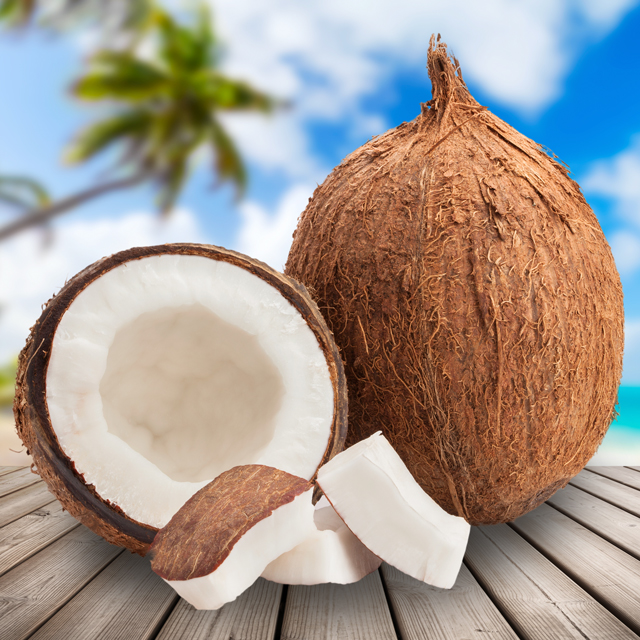 Detail Coconut Images Nomer 14