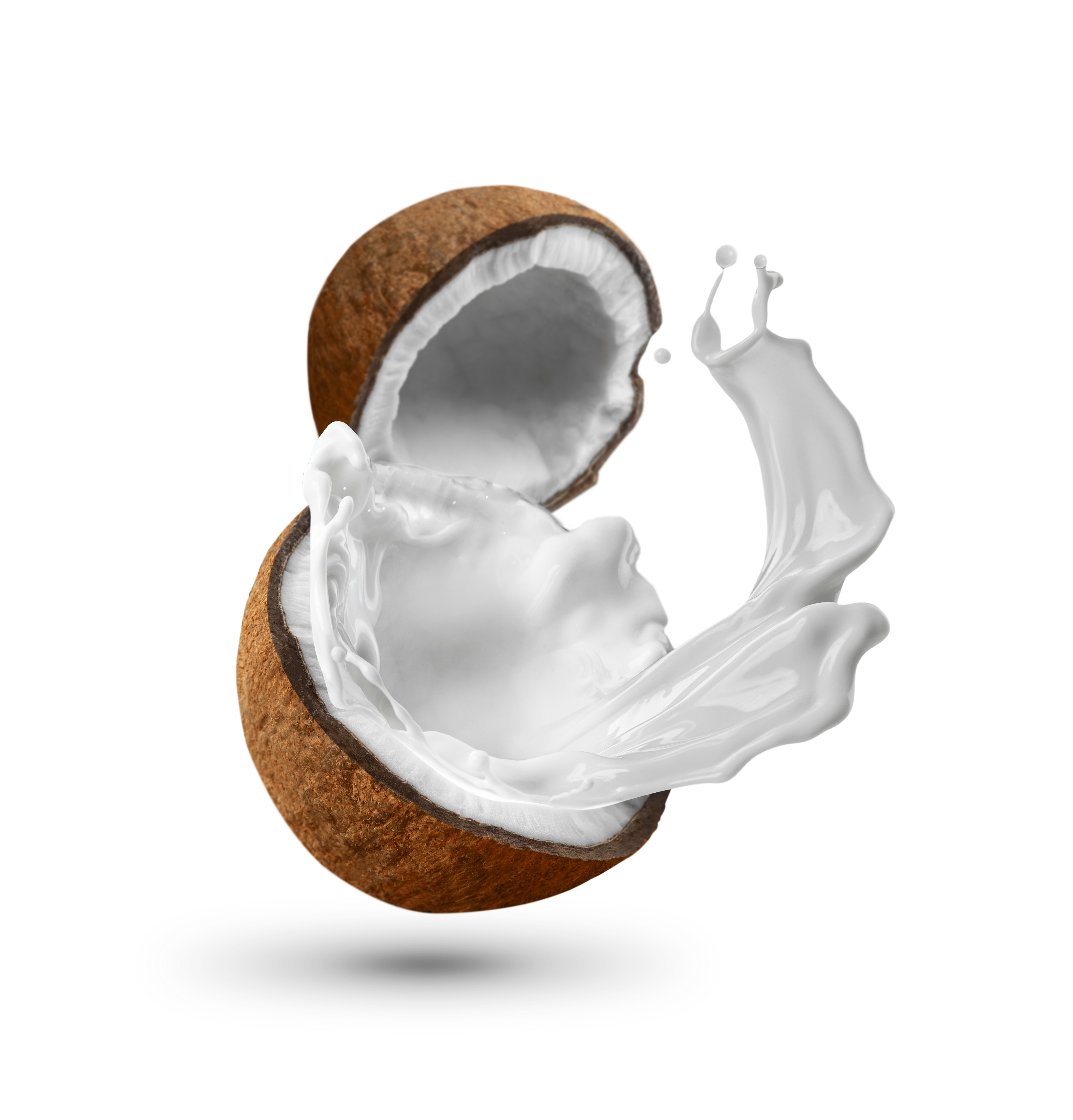 Detail Coconut Milk Png Nomer 38