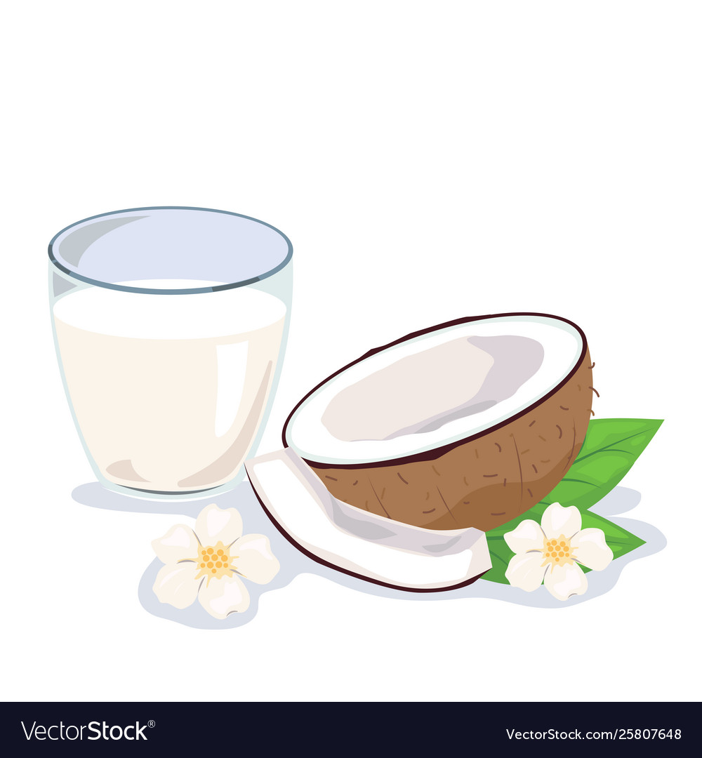 Detail Coconut Milk Png Nomer 43