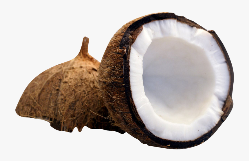 Detail Coconut Milk Png Nomer 54