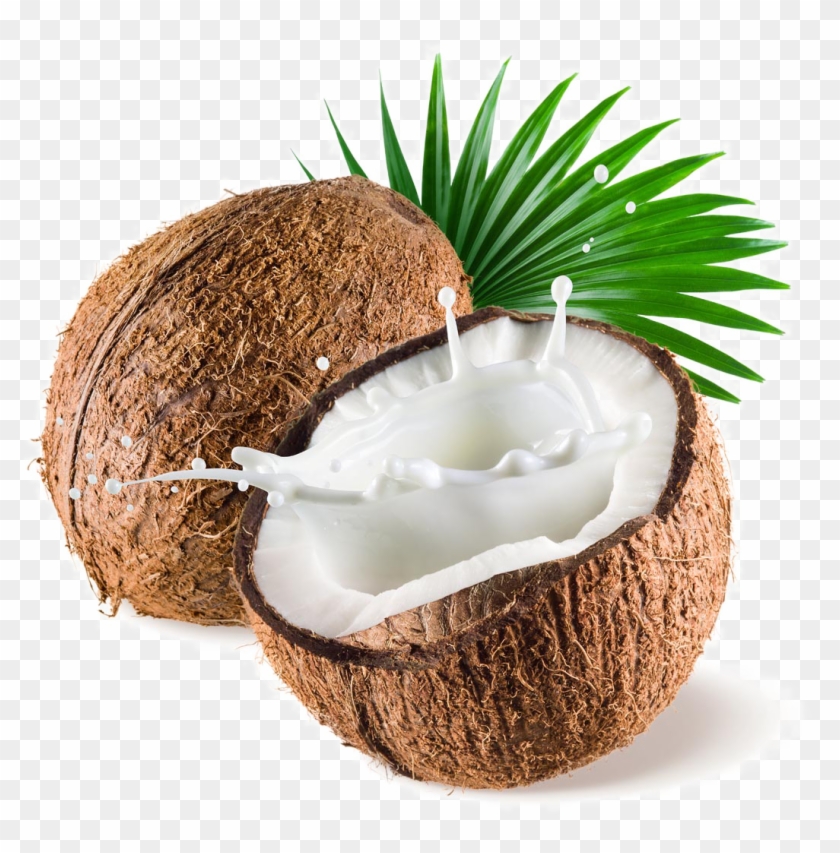 Detail Coconut Milk Png Nomer 9