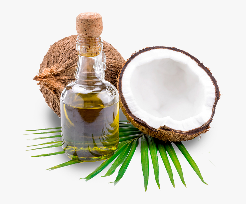 Coconut Oil Png - KibrisPDR