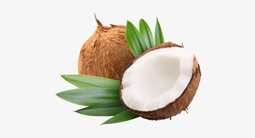 Detail Coconut Oil Png Nomer 12