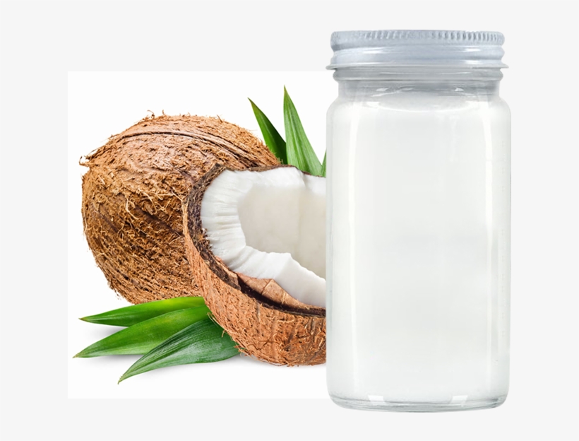 Detail Coconut Oil Png Nomer 13