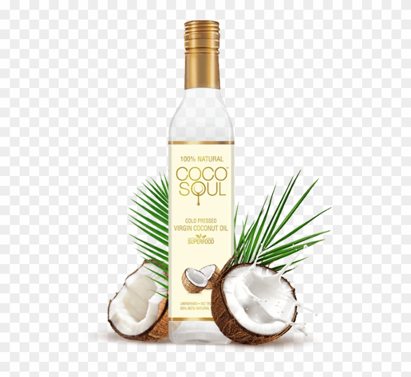 Detail Coconut Oil Png Nomer 16