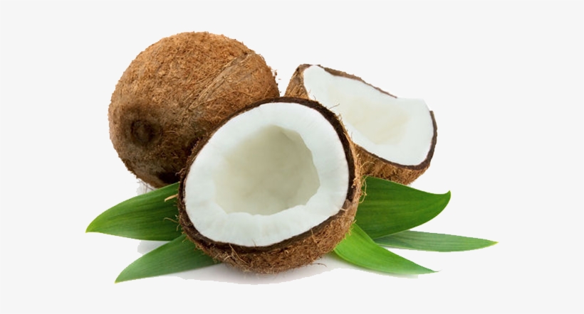 Detail Coconut Oil Png Nomer 25