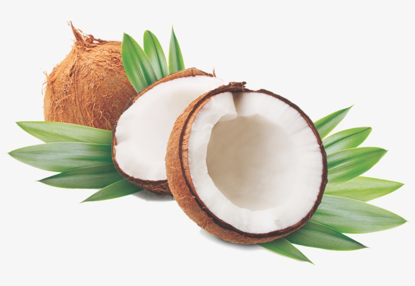 Detail Coconut Oil Png Nomer 30