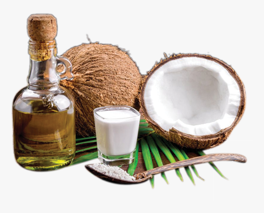 Detail Coconut Oil Png Nomer 5