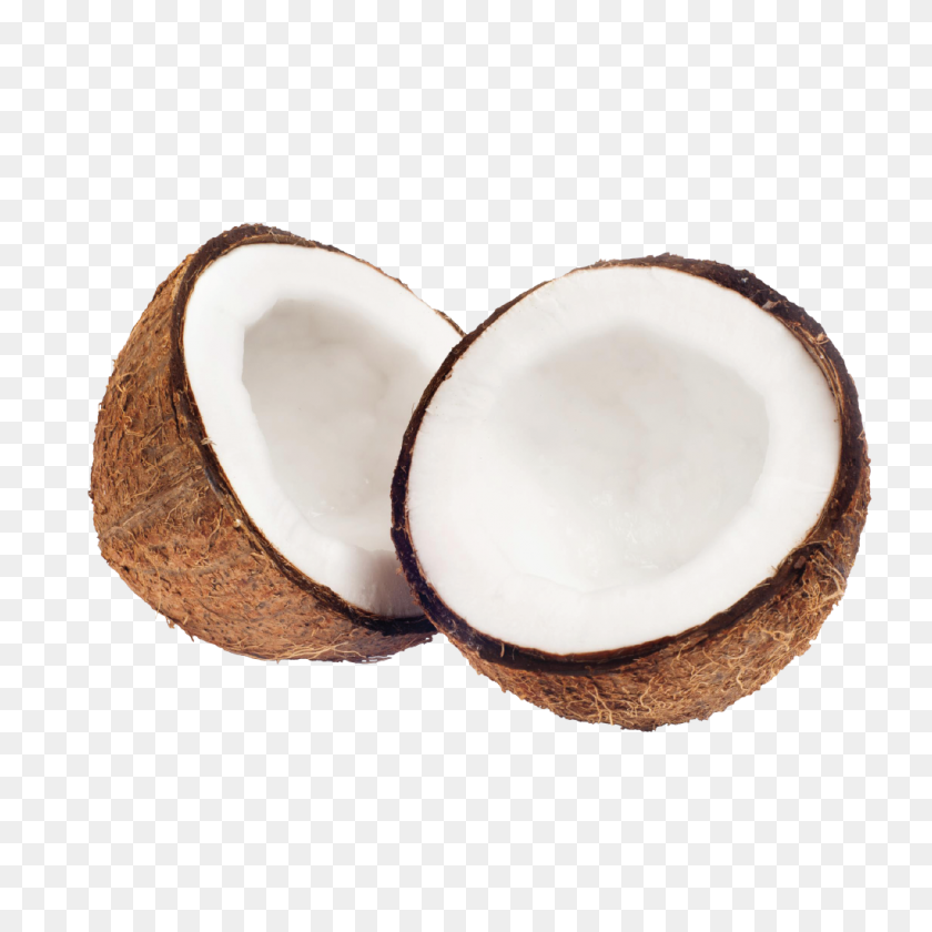 Detail Coconut Oil Png Nomer 41