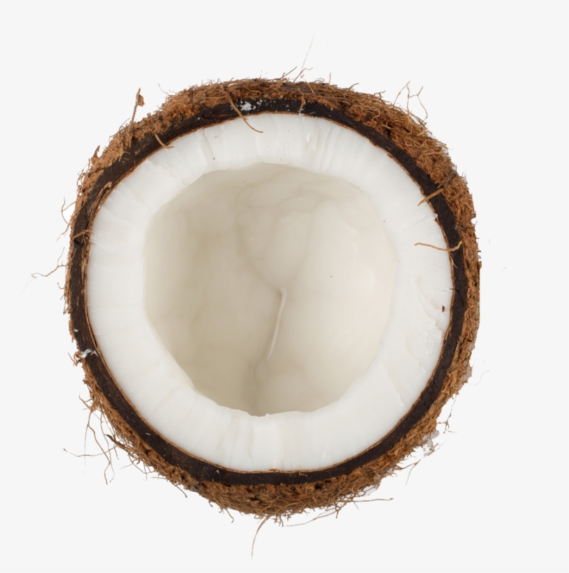 Detail Coconut Oil Png Nomer 53