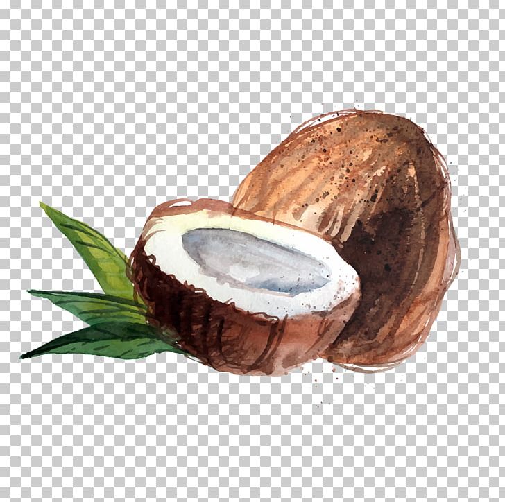 Detail Coconut Oil Png Nomer 55