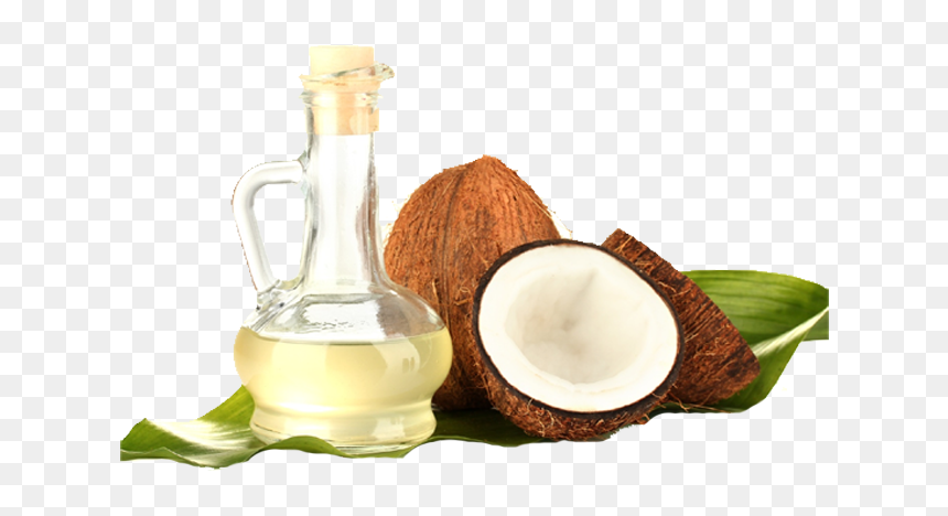 Detail Coconut Oil Png Nomer 9