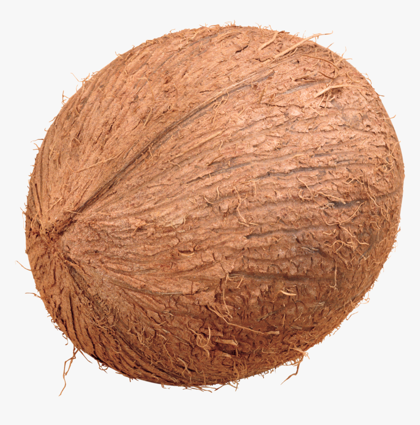 Coconut Transparent Background - KibrisPDR