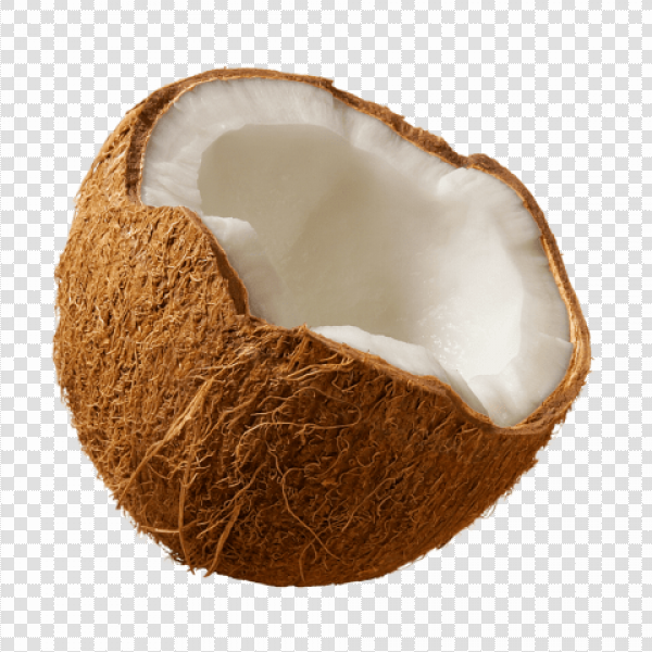 Detail Coconut Transparent Background Nomer 2