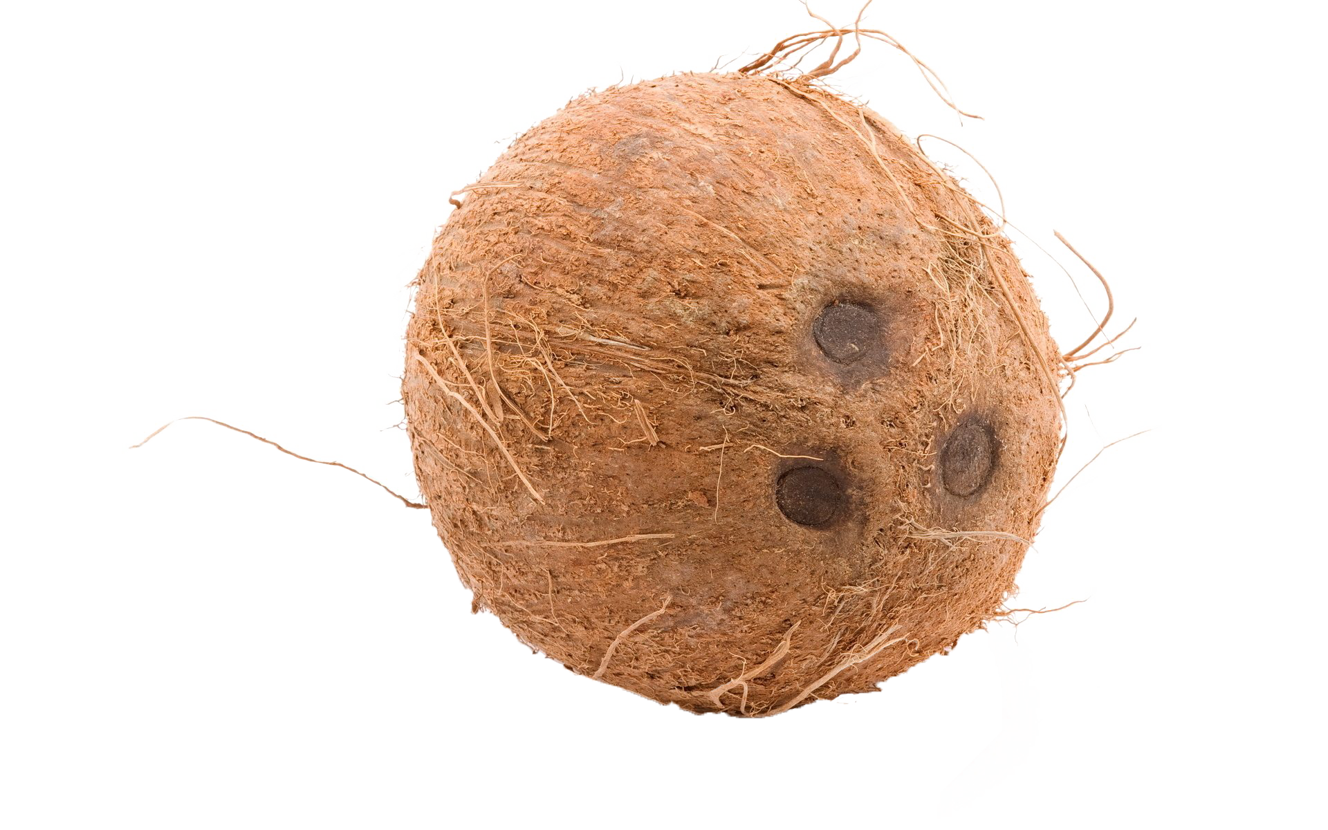 Detail Coconut Transparent Background Nomer 22