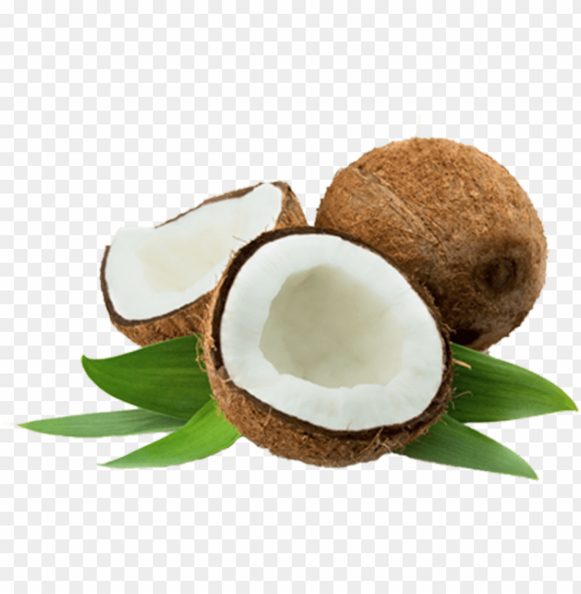 Detail Coconut Transparent Background Nomer 3