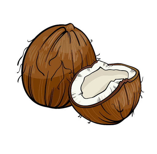 Detail Coconut Transparent Background Nomer 28