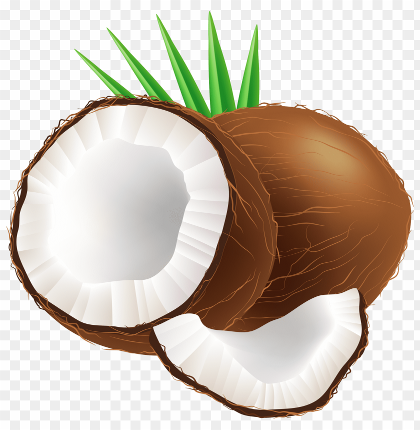 Detail Coconut Transparent Background Nomer 31