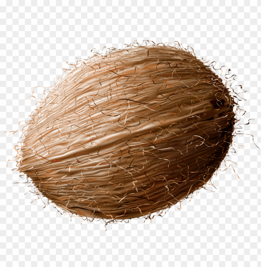 Detail Coconut Transparent Background Nomer 33