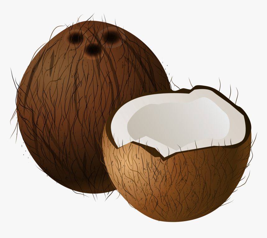 Detail Coconut Transparent Background Nomer 34