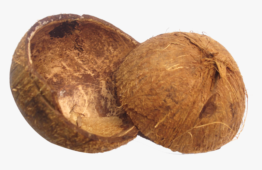 Detail Coconut Transparent Background Nomer 35