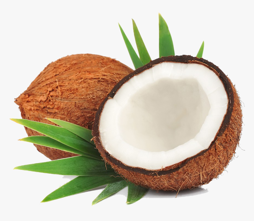 Detail Coconut Transparent Background Nomer 4