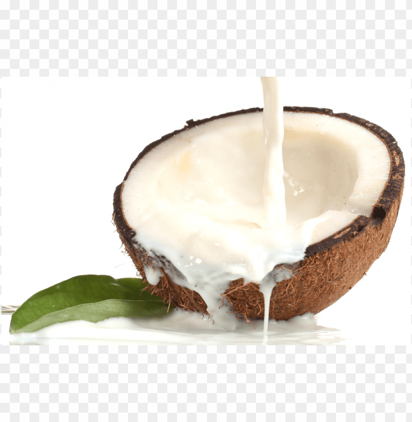 Detail Coconut Transparent Background Nomer 38
