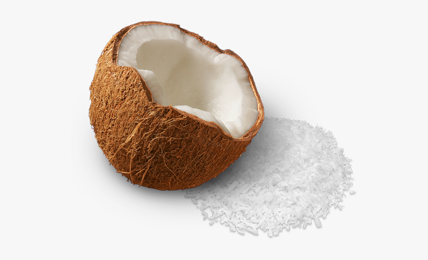 Detail Coconut Transparent Background Nomer 39