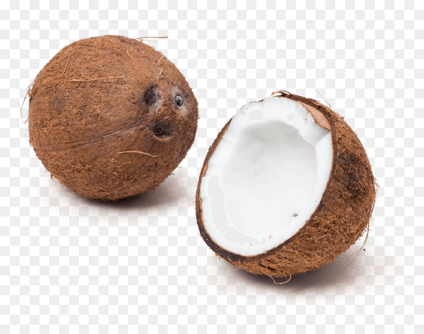 Detail Coconut Transparent Background Nomer 45