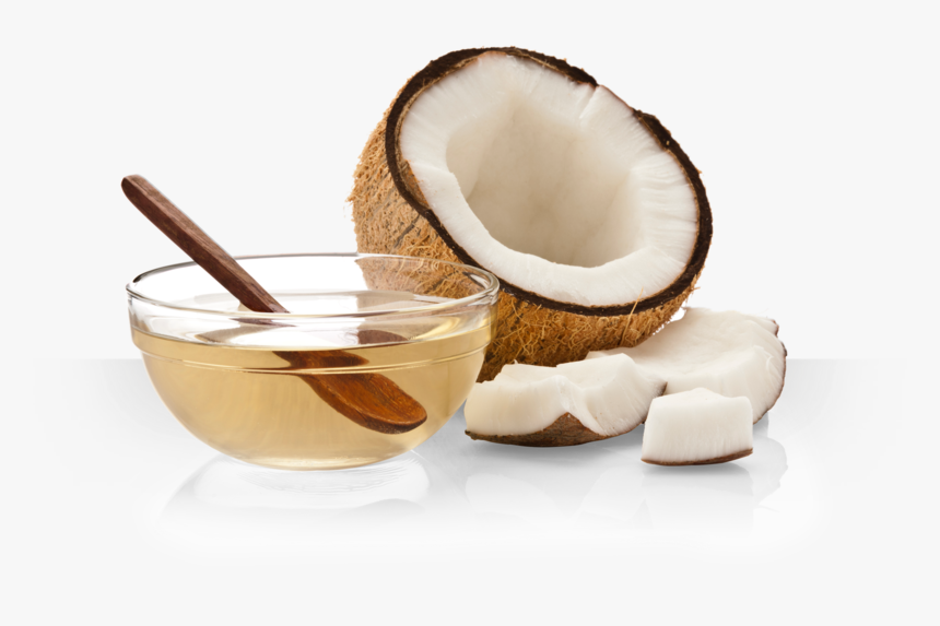 Detail Coconut Transparent Background Nomer 46
