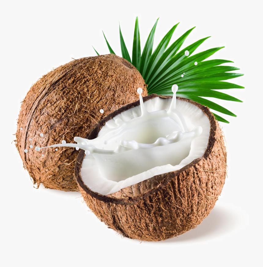 Detail Coconut Transparent Background Nomer 5