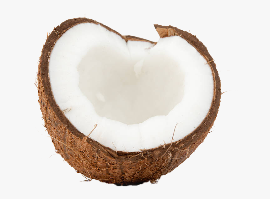 Detail Coconut Transparent Background Nomer 50