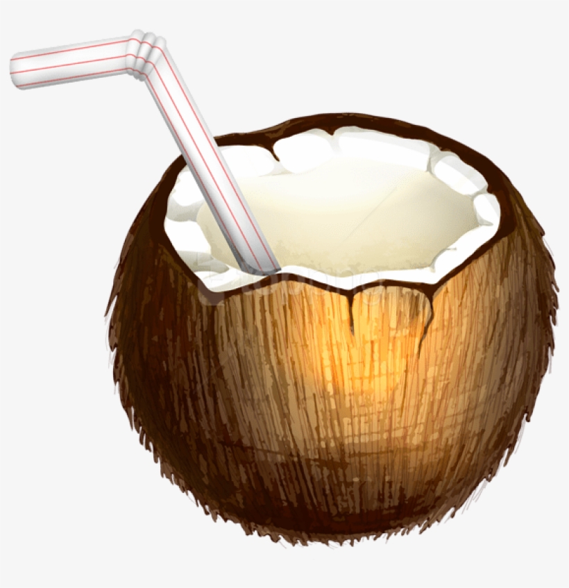 Detail Coconut Transparent Background Nomer 54