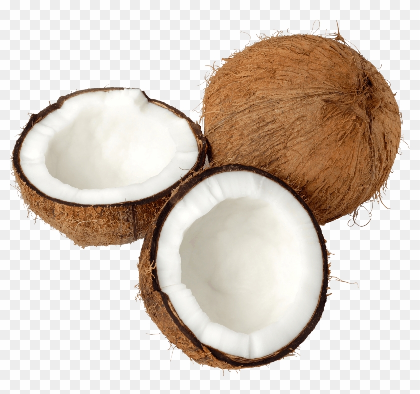Detail Coconut Transparent Background Nomer 9