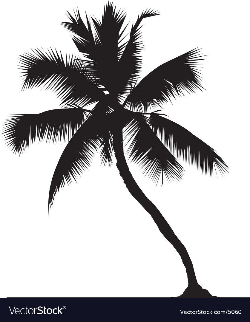 Detail Coconut Tree Vector Free Download Nomer 11