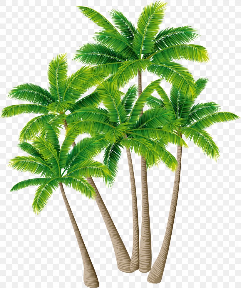 Detail Coconut Tree Vector Free Download Nomer 22